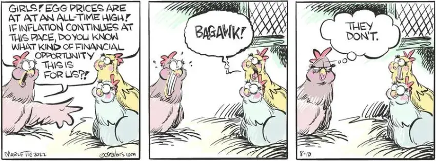 Shrimp and Grits for Aug 10, 2022