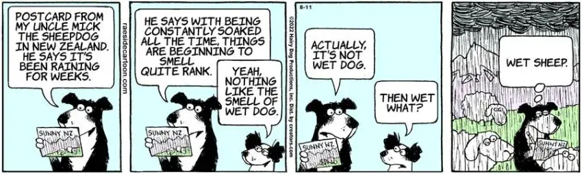 The Other Coast for Aug 11, 2022