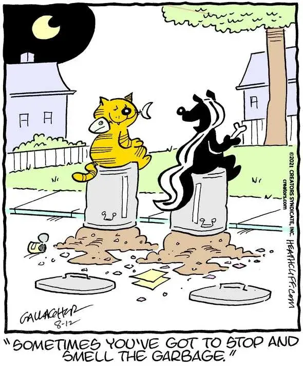 Heathcliff for Aug 12, 2023