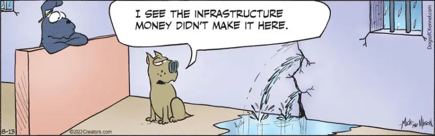 Dogs of C-Kennel for Aug 13, 2022