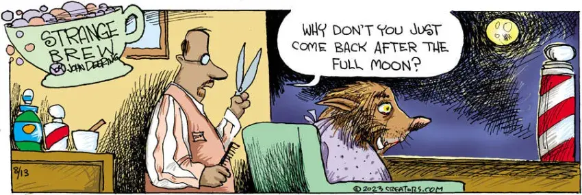 Strange Brew for Aug 13, 2023