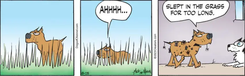 Dogs of C-Kennel for Aug 15, 2023
