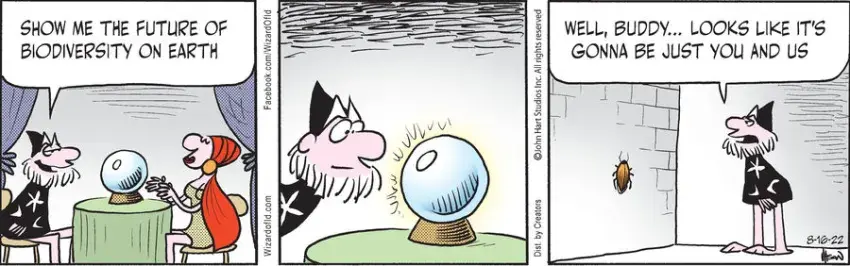 Wizard of Id for Aug 16, 2022