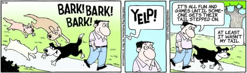 The Other Coast for Aug 16, 2022