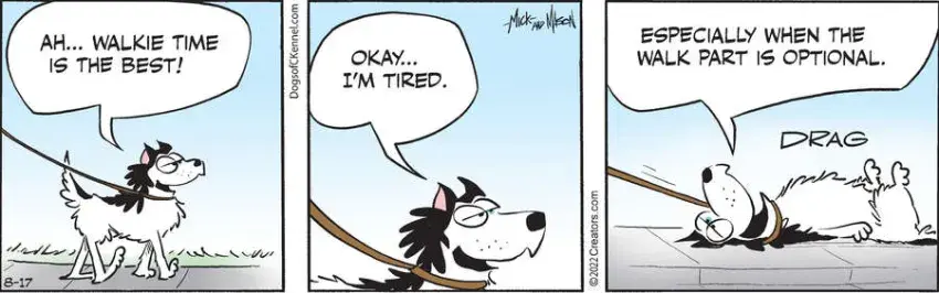 Dogs of C-Kennel for Aug 17, 2022