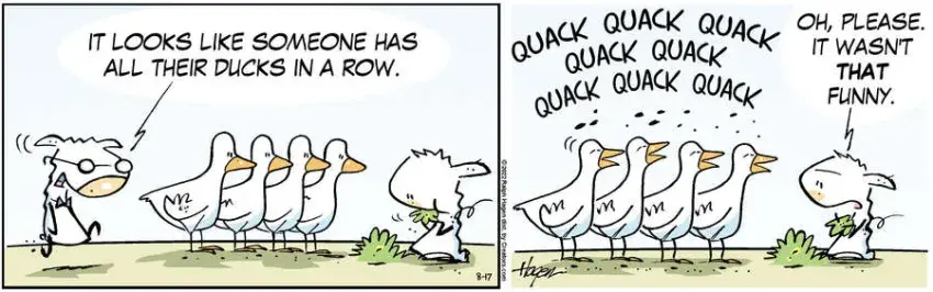 The Barn for Aug 17, 2022