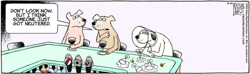 The Other Coast for Aug 19, 2022