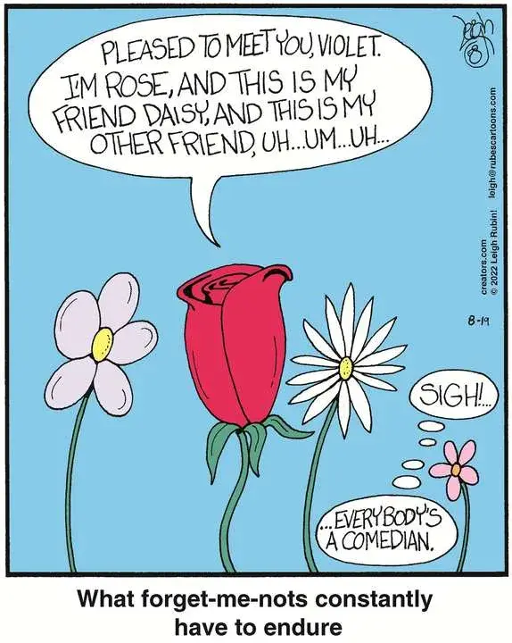 Rubes® for Aug 19, 2022