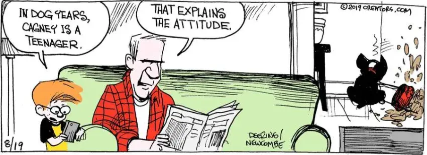 Zack Hill for Aug 19, 2022