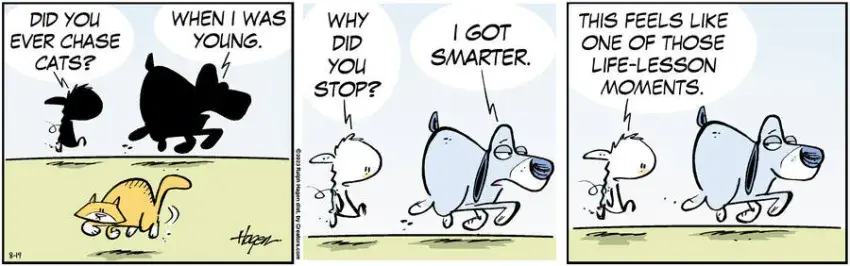 The Barn for Aug 19, 2023