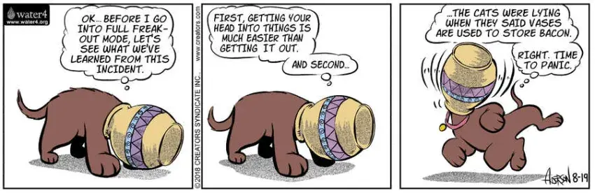 Dog Eat Doug for Aug 19, 2023