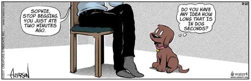 Dog Eat Doug for Aug 20, 2022