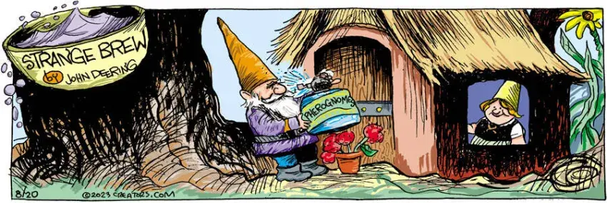 Strange Brew for Aug 20, 2023
