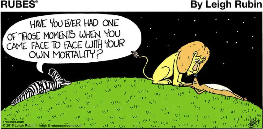 Rubes® for Aug 20, 2023