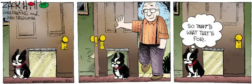 Zack Hill for Aug 21, 2022