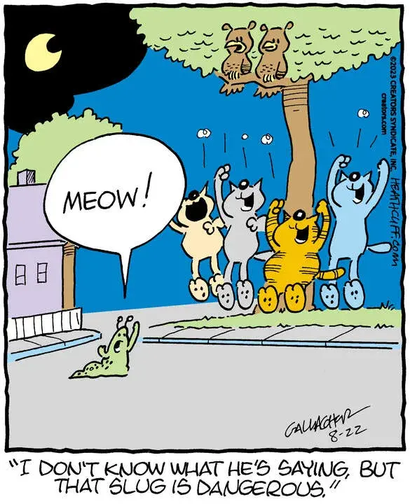 Heathcliff for Aug 22, 2023