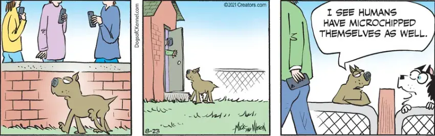 Dogs of C-Kennel for Aug 23, 2021
