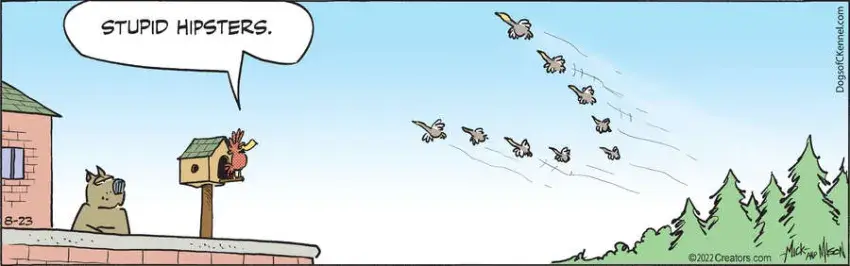 Dogs of C-Kennel for Aug 23, 2022