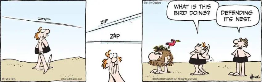 B.C. for Aug 23, 2023