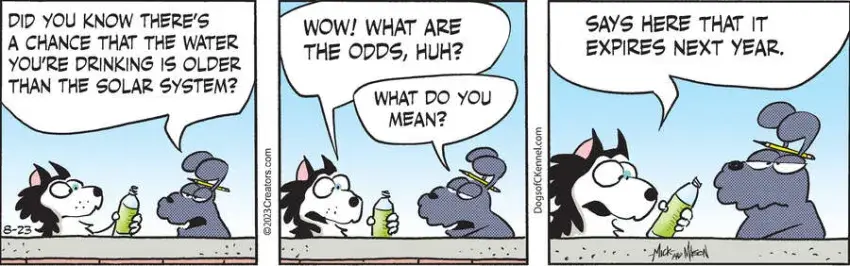 Dogs of C-Kennel for Aug 23, 2023