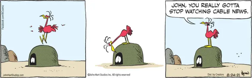 B.C. for Aug 24, 2021