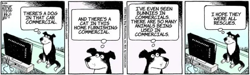 The Other Coast for Aug 24, 2022