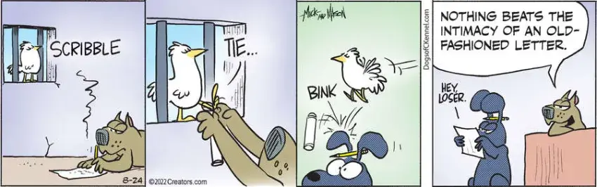 Dogs of C-Kennel for Aug 24, 2022