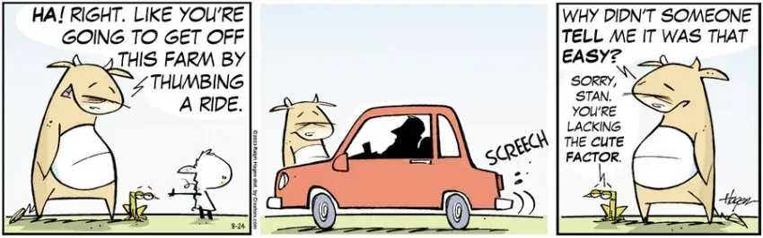 The Barn for Aug 24, 2023