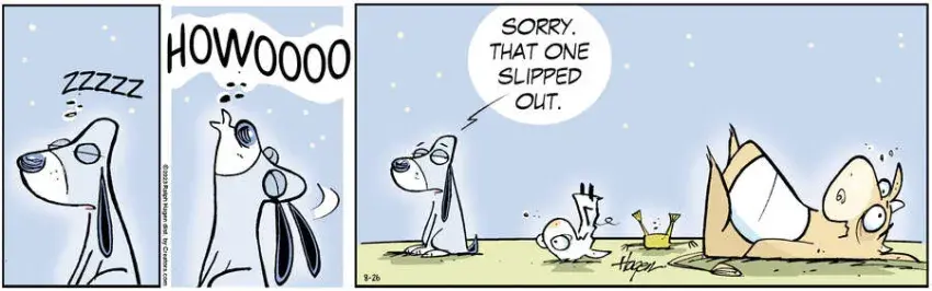 The Barn for Aug 26, 2023