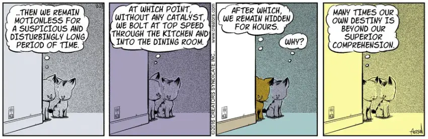 Dog Eat Doug for Aug 27, 2021