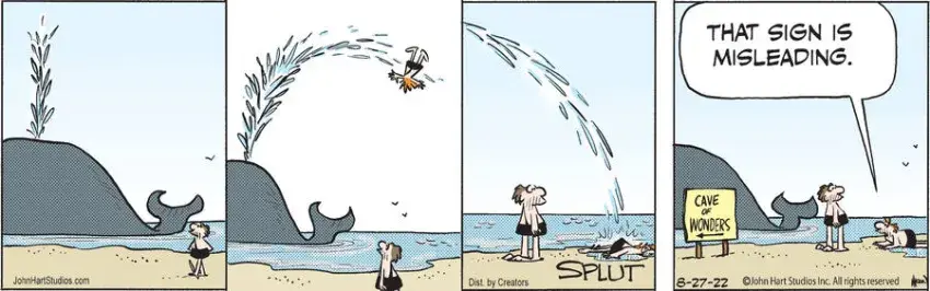 B.C. for Aug 27, 2022