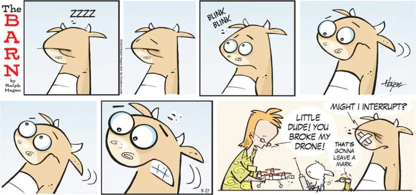 The Barn for Aug 27, 2023