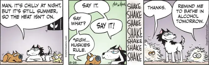 Dogs of C-Kennel for Aug 28, 2023