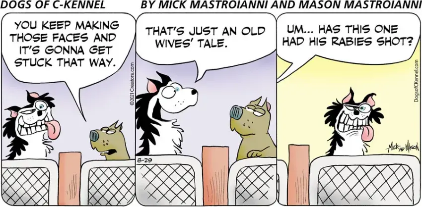 Dogs of C-Kennel for Aug 29, 2021