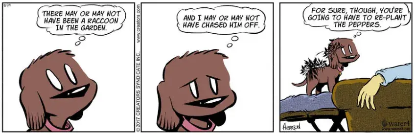 Dog Eat Doug for Aug 29, 2022