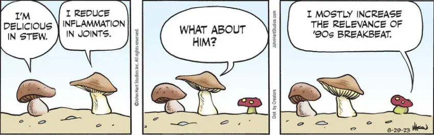 B.C. for Aug 29, 2023