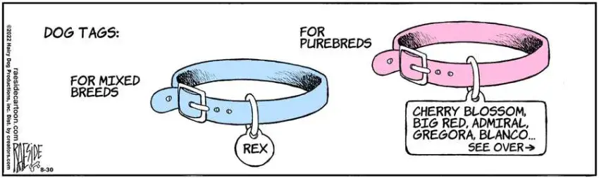 The Other Coast for Aug 30, 2022