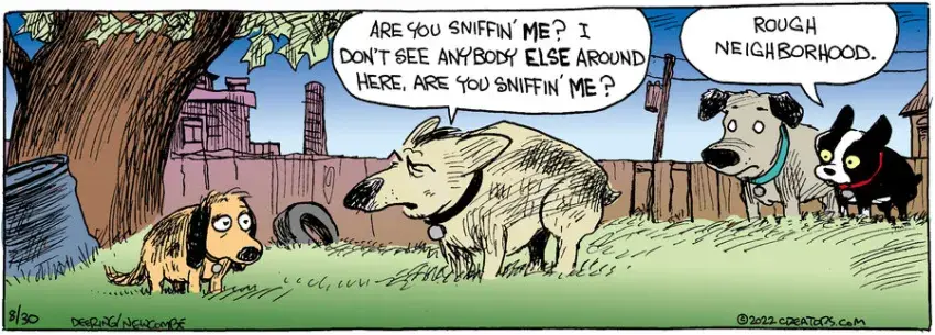 Zack Hill for Aug 30, 2022