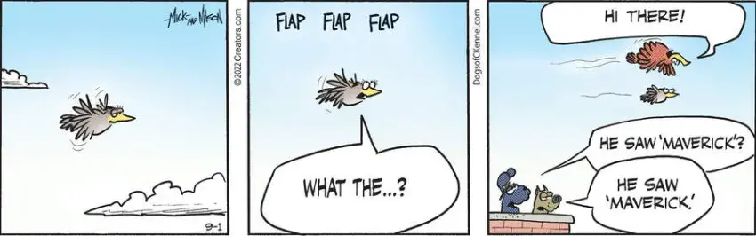 Dogs of C-Kennel for Sep 01, 2022