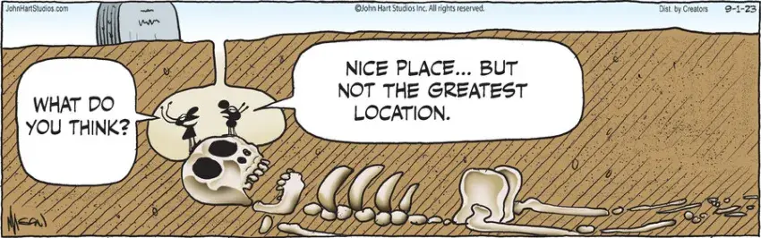 B.C. for Sep 01, 2023