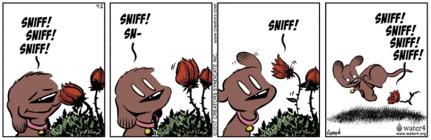 Dog Eat Doug for Sep 02, 2022