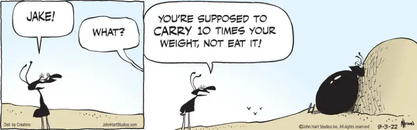 B.C. for Sep 03, 2022