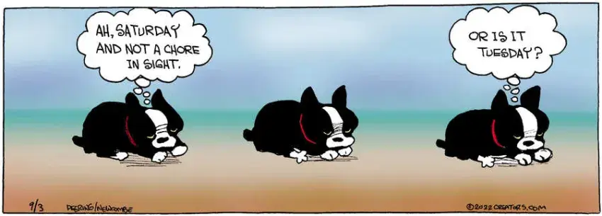 Zack Hill for Sep 03, 2022