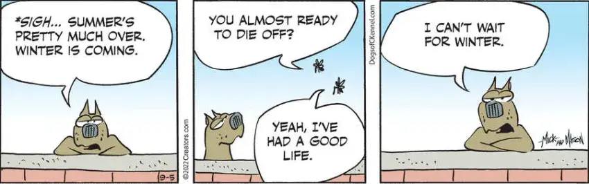 Dogs of C-Kennel for Sep 05, 2022