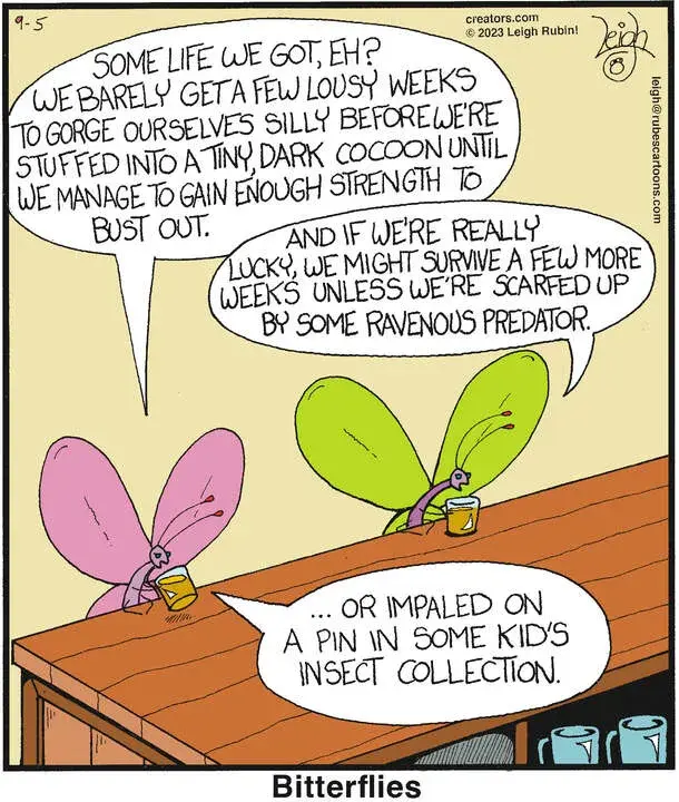 Rubes® for Sep 05, 2023