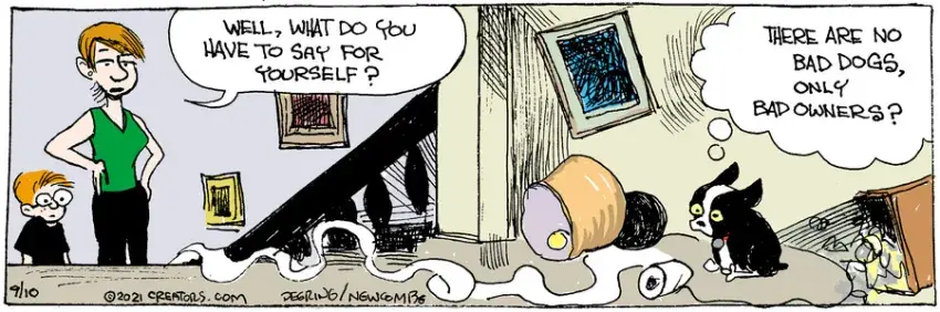 Zack Hill for Sep 10, 2021