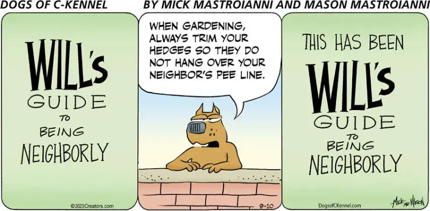 Dogs of C-Kennel for Sep 10, 2023