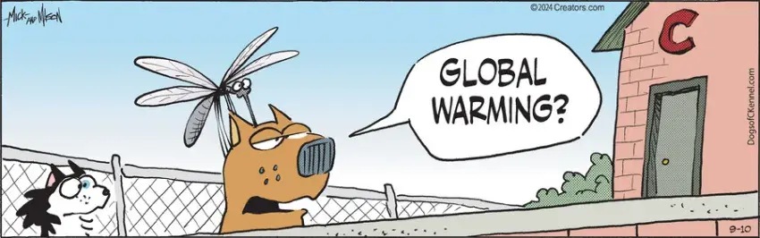 Dogs of C-Kennel for Sep 10, 2024