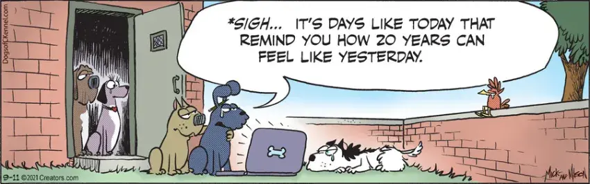 Dogs of C-Kennel for Sep 11, 2021
