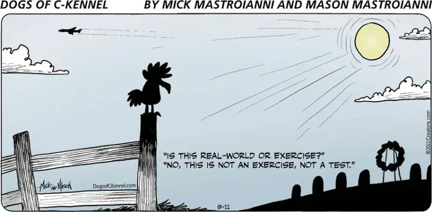 Dogs of C-Kennel for Sep 11, 2022